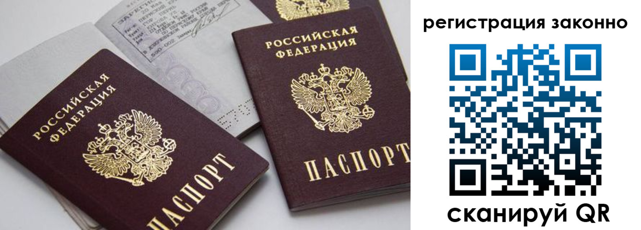 прописка штамп в Фрязино